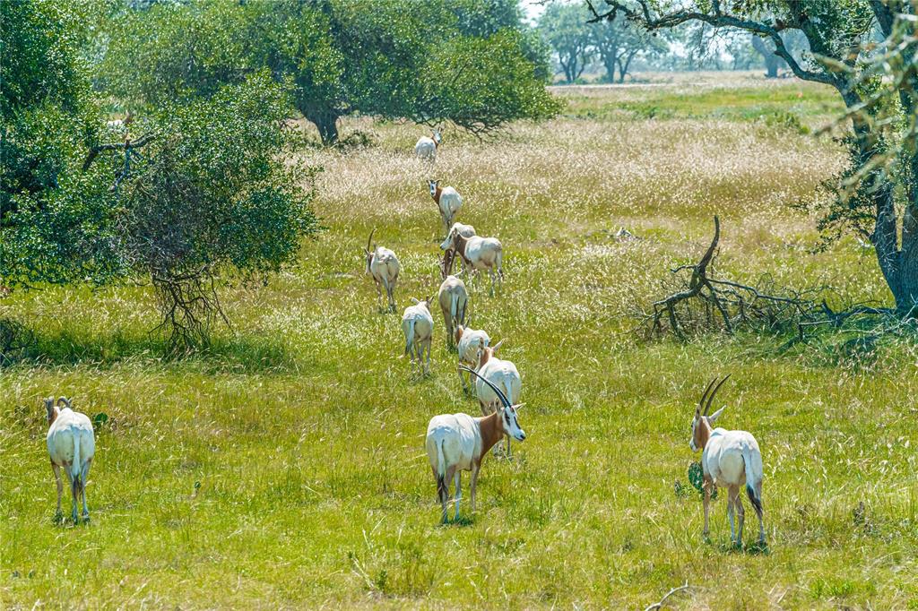 MAVERICK - Residential