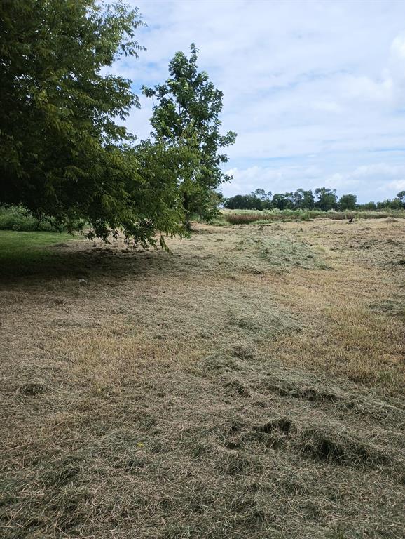 D Clapp Surv Abs 127 - Land