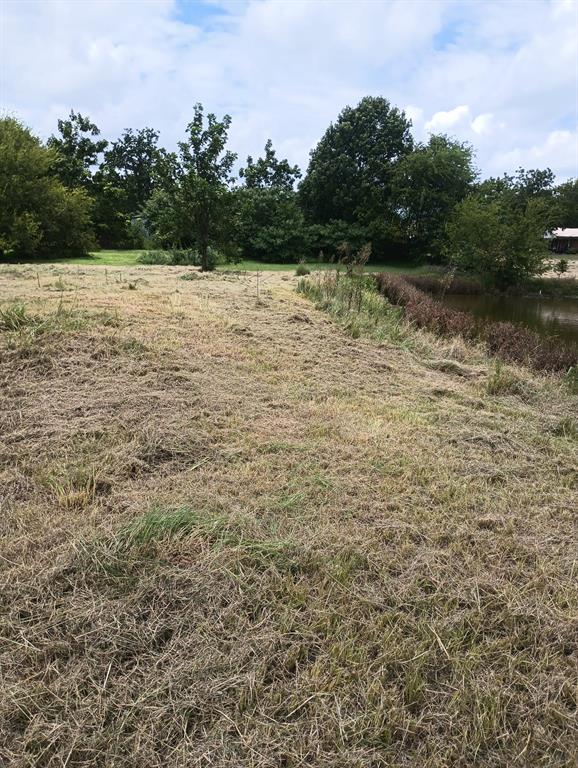 D Clapp Surv Abs 127 - Land