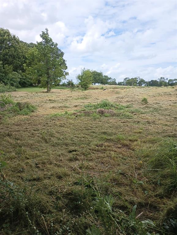 D Clapp Surv Abs 127 - Land