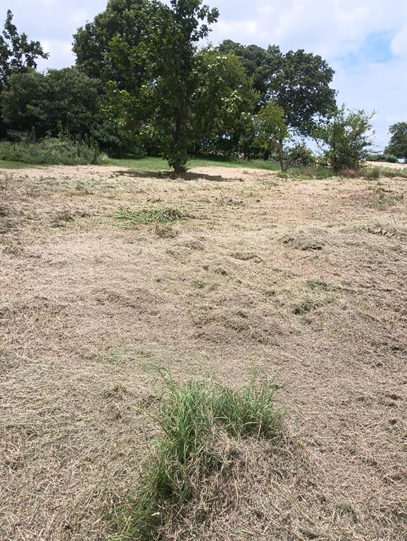 D Clapp Surv Abs 127 - Land