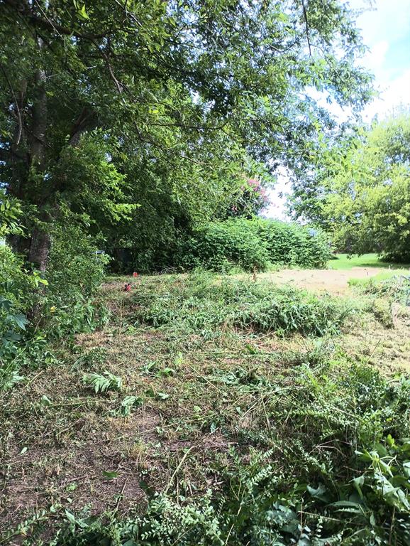 D Clapp Surv Abs 127 - Land