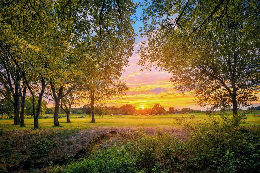 Jacob Mickler - Farm