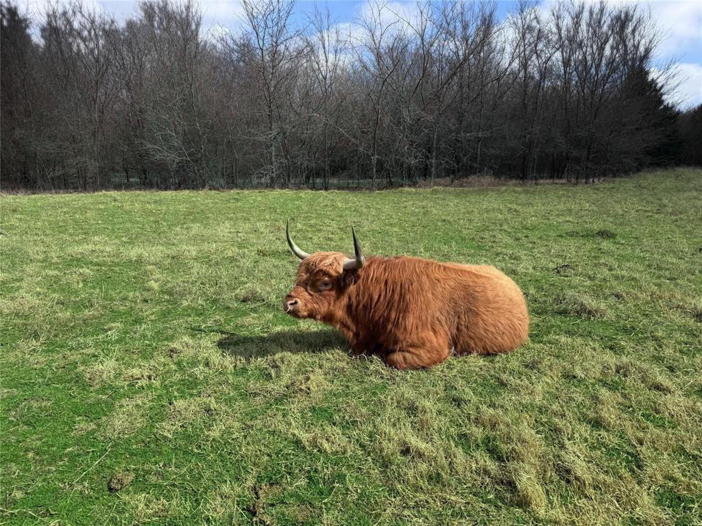 Christian John A0165 - Land