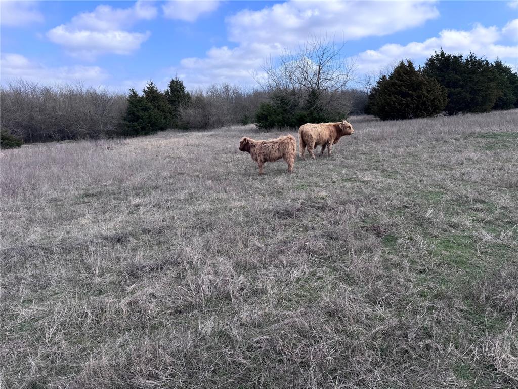 Christian John A0165 - Land