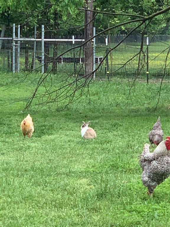 R Weeks Surv Abs 1271 - Farm