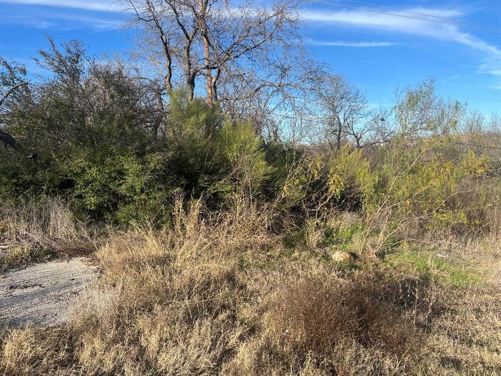 Edwards, William Survey - Land