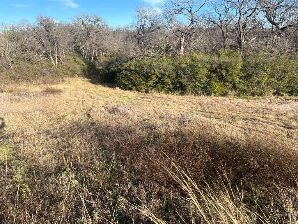 Edwards, William Survey - Land