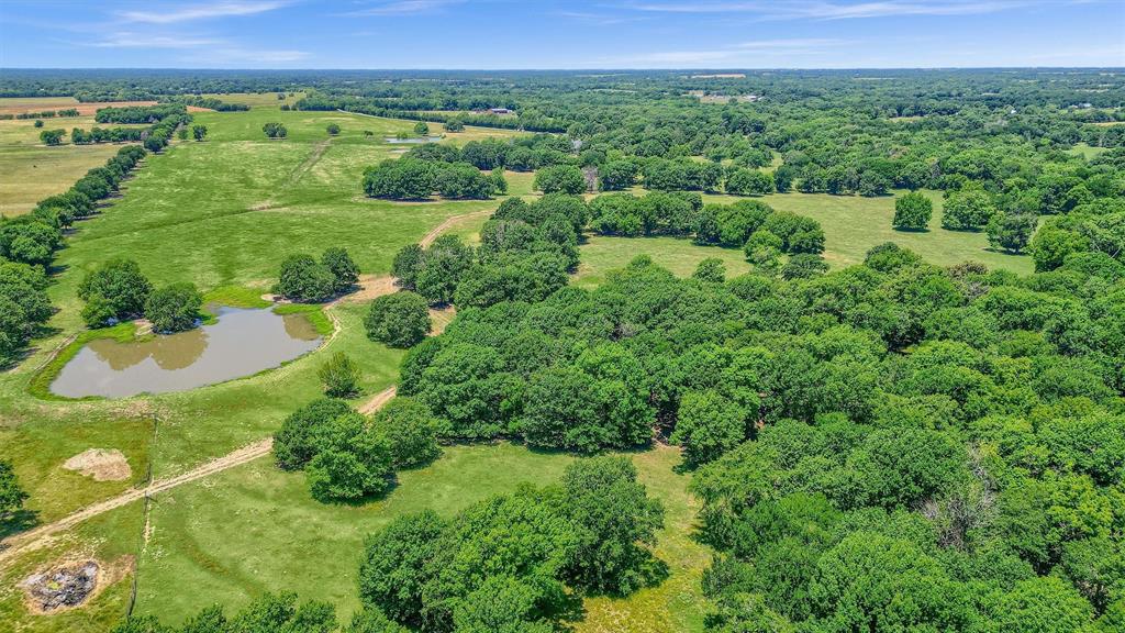 William H Anderson Surv Abs #3 - Farm