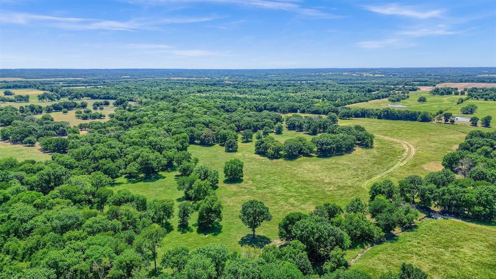 William H Anderson Surv Abs #3 - Farm