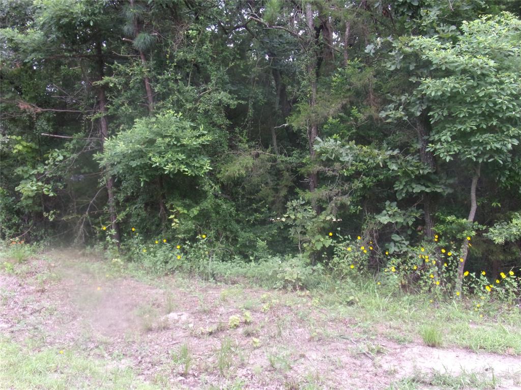 Callender Lake II - Land