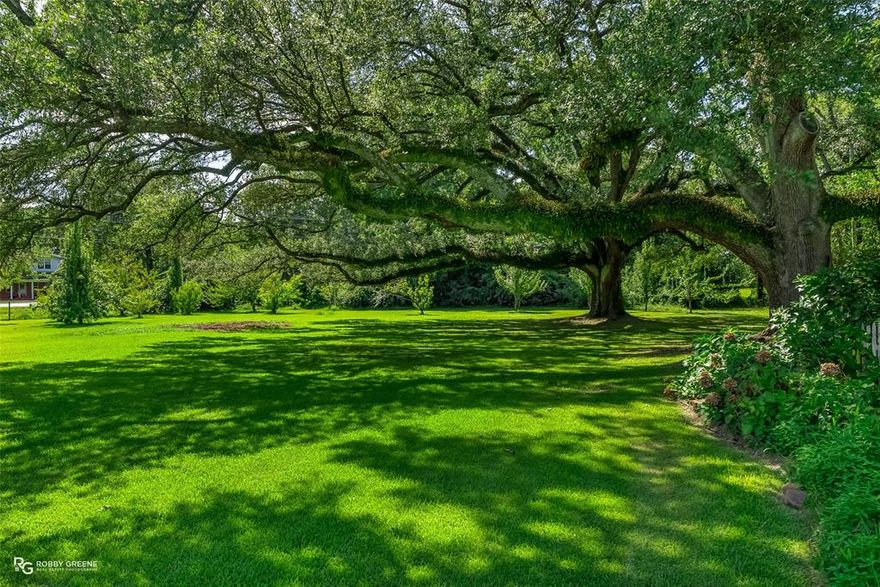 This picturesque property includes 53 acres and over 1,000 foot of frontage on Twelve Mile bayou.It boasts 2 stocked ponds with bream,catfish,bass and a wildlife pond in the back pasture with ducks and White-tailed deer.The massive front yard features six registered Native Live Oaks boasting ages from 150 to 300 years old.There are 10 acres of mature pine trees, cleared pasture areas for horses,pecan orchard in back pasture area ,two metal horse barns with 17 stalls and 2 stud pens,a horse walker, greenhouse, and small fenced area for dogs. It also boasts a large equipment pavillion with an attached 40x20 foot workshop RV storage that is heated, cooled, and has water. here is a one bedroom cottage style apartment above the two car garage to the right of the main house.You will love relaxing by the beautiful heated flagstone lagoon pool with a 12 person spa and waterfall. Enjoy the stunning stone lined beds filled with daylilies,azaleas,roses,english ivy,Natchez white Crepe Myrtles, blue flowering vitex trees and more. And that is just the outside. The lovely main house circa 1920 features a inviting full length concrete porch.The home is framed and built almost entirely of Louisiana Cypress making it extremely unique. You will love the oak hardwood floors and 10 foot ceilings.Entertaining is easy with a custom 14 foot handmade cypress dining table and sideboard that remain.The kitchen is equipped with a large island,bosch dishwasher, wine fridge, 36 in Bertazzoni gas range with electric convection oven, and whirlpool ice maker. Each bedroom has its own bathroom and The oversized clawfoot tub and newly renovated shower in the primary bedroom makes it an amazing owners retreat. Oh and I can't forget about the 80kw whole house generator, 3 water wells ,irrigation system, and that the mineral rights are to be conveyed with this magnificent property. 3 tracts including a 5.43 acres tract with separate address and 24 acres zoned AV agricultural use.Call for more details