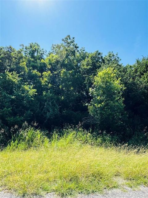 1277 Paint Brush Court Whitney TX 76692