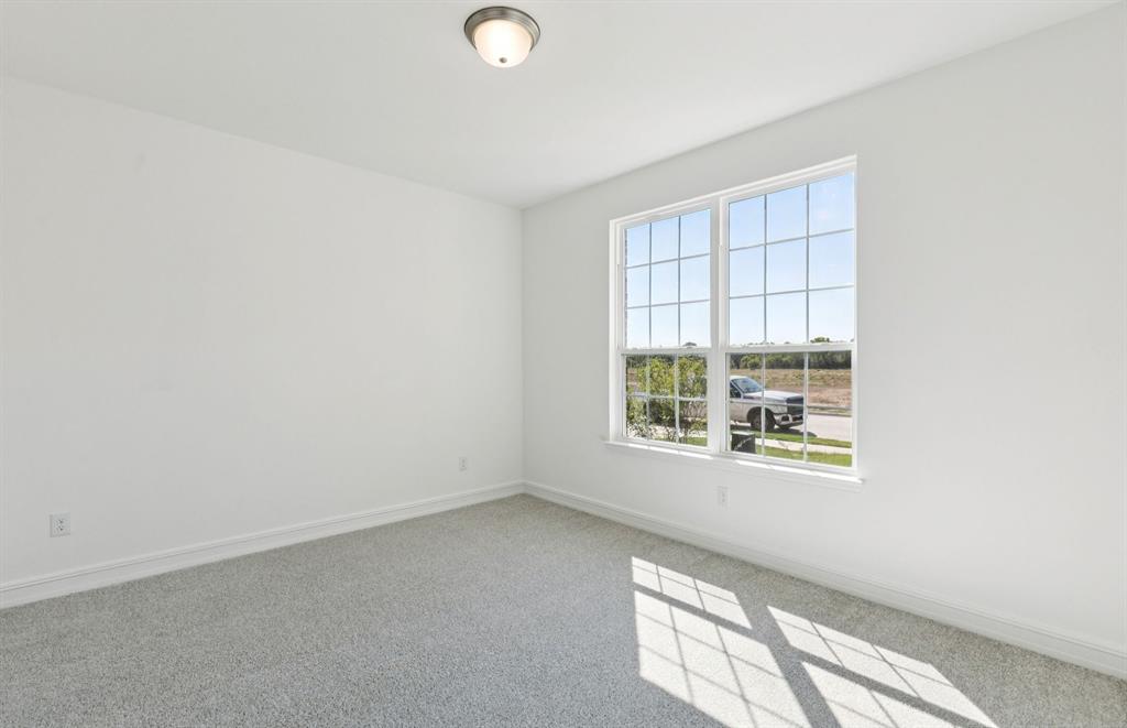 Treeline - Residential