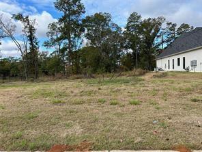 2056 Silver Point Drive