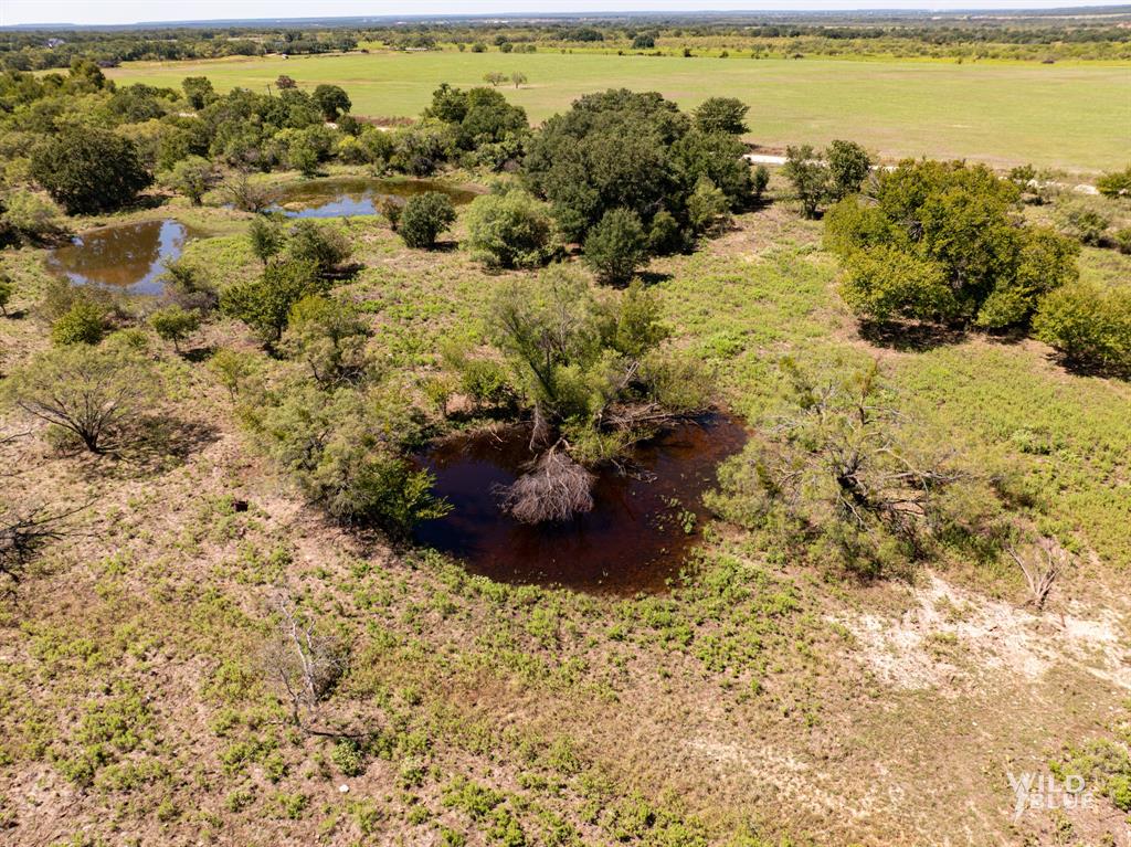 TBD County Road 428