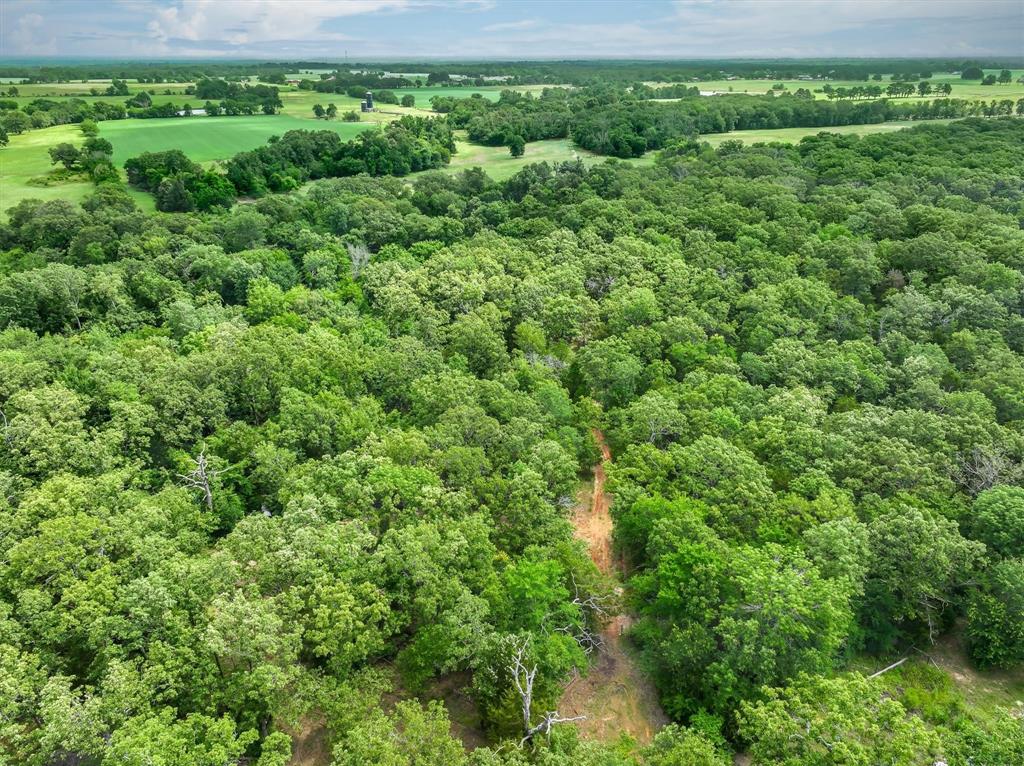 950 VZ County Road 1919