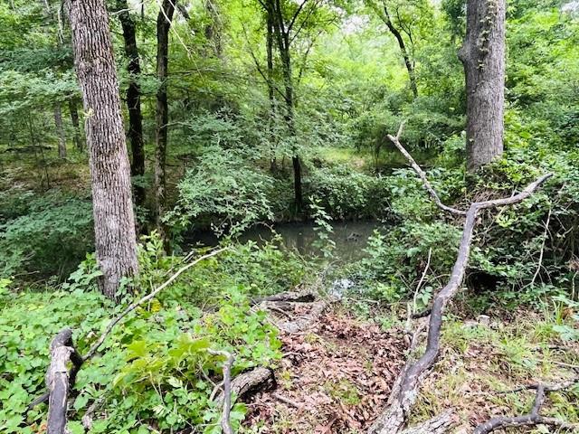 950 VZ County Road 1919