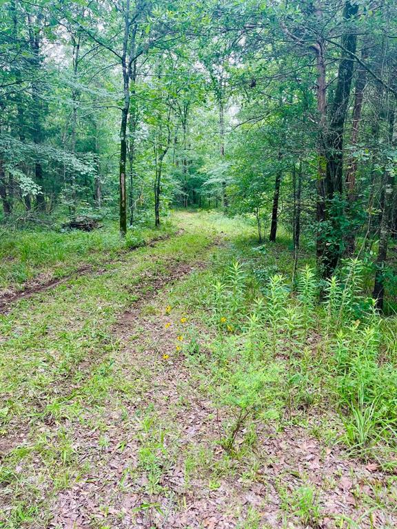 950 VZ County Road 1919