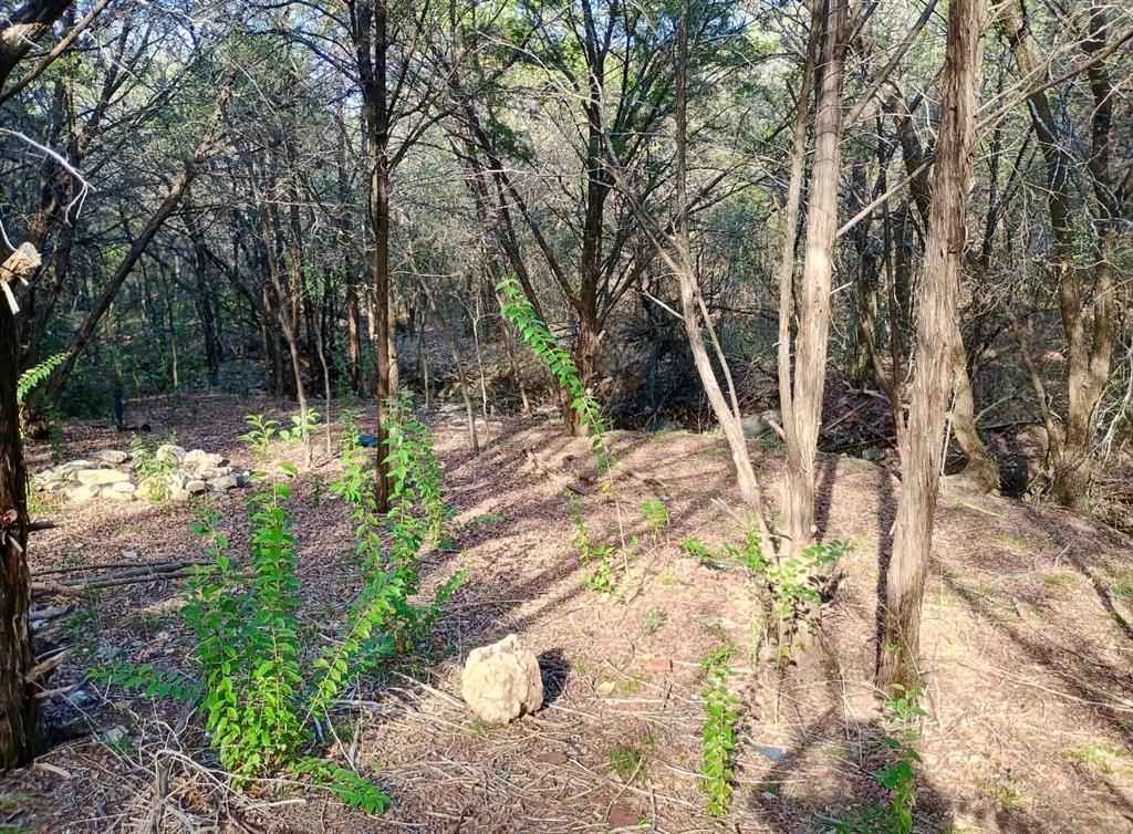 Comanche Harbor - Land