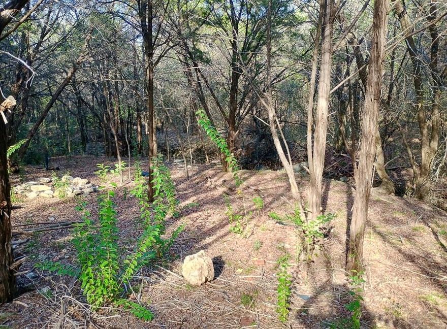 Discover the perfect spot to build your next home or investment property in the peaceful community of Comanche Harbor! This .29-acre residential lot sits among mature trees, and with a babbling brook running though it, this property offers relaxation, privacy and a natural backdrop that’s hard to find. With a little clearing, this lot could become the foundation for a stunning new construction home.

Located just minutes from Bowser Lake and the Brazos River, you’ll have outdoor recreation right in your backyard — fishing, boating, and beautiful Texas sunsets included. Plus, you’re only a 10-minute drive to historic Downtown Granbury, where charming shops, restaurants, and lakefront fun await.

Whether you’re a builder, developer, or investor, this property offers incredible potential in one of North Texas’ most beloved lake communities.