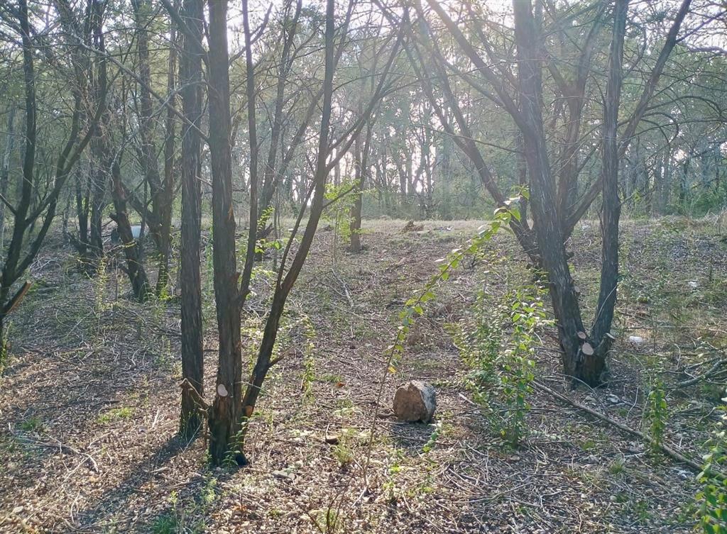 Comanche Harbor - Land