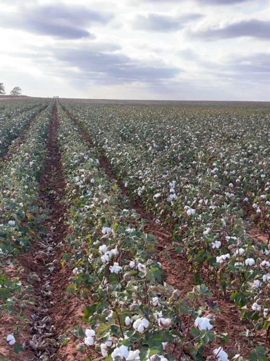 637 Acres For Sale Terry County