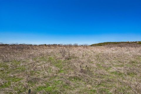 1120 Pheasant Court Graford TX 76449