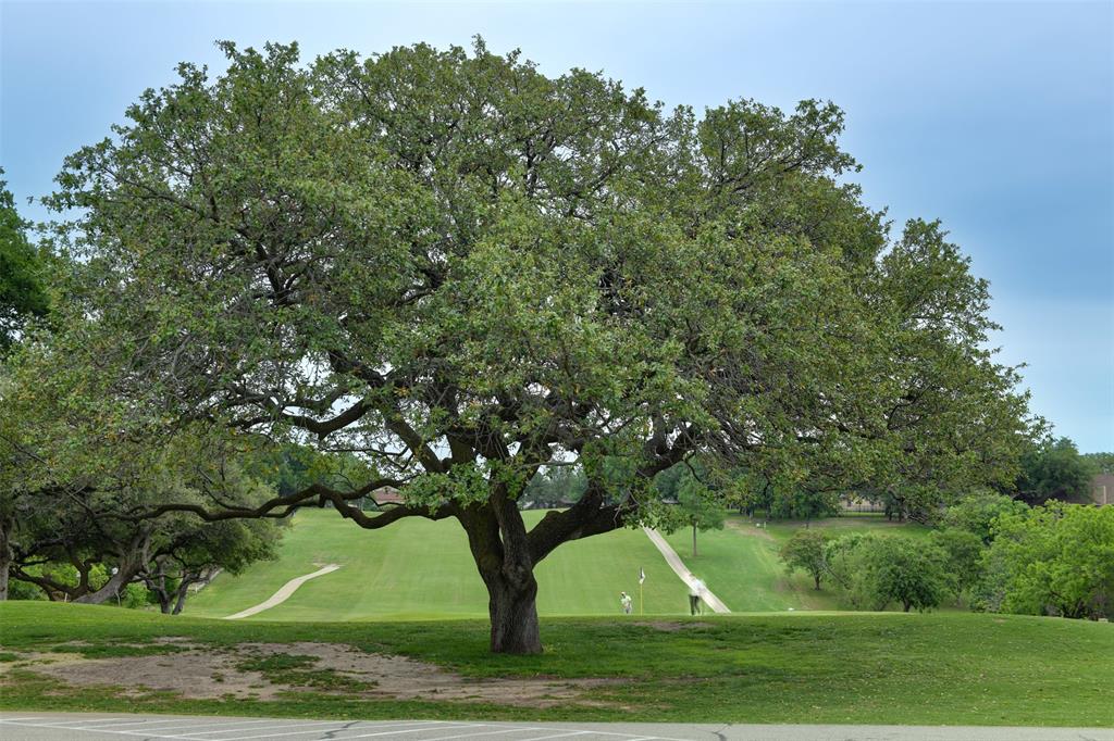 Thunderbird Cove - Residential