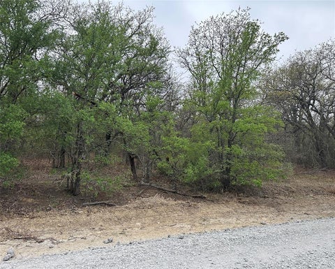 Photo of TBD Martins Lane, Runaway Bay, TX 76426 (MLS # 21362686)