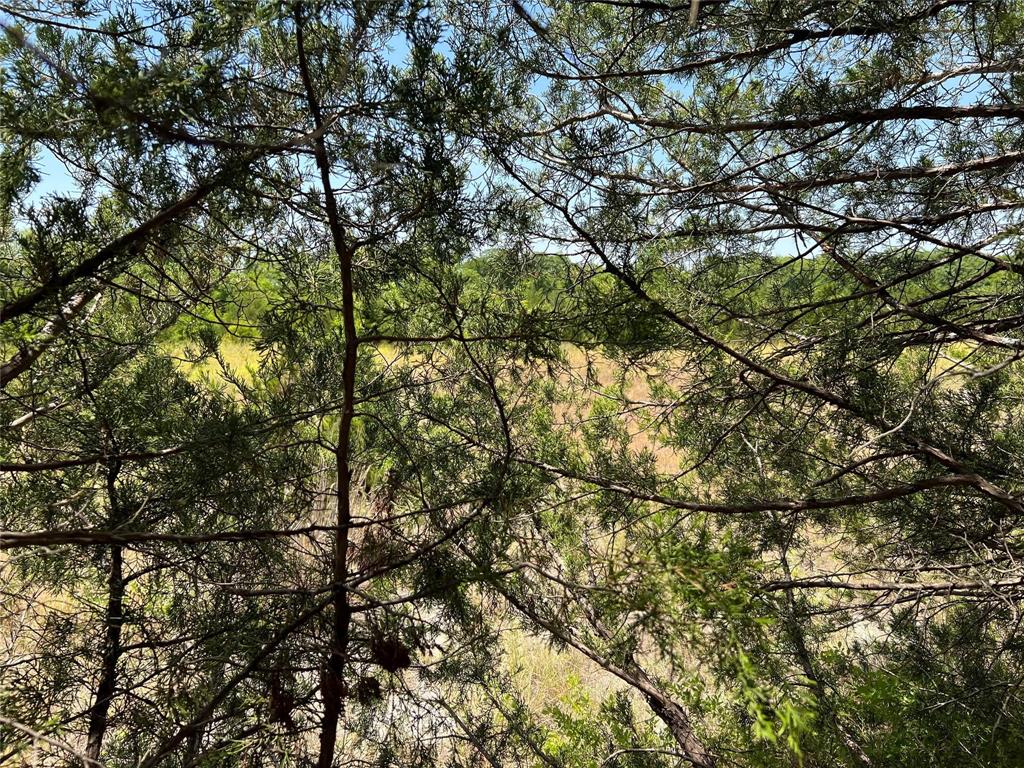 11AC Pilot Grove Road