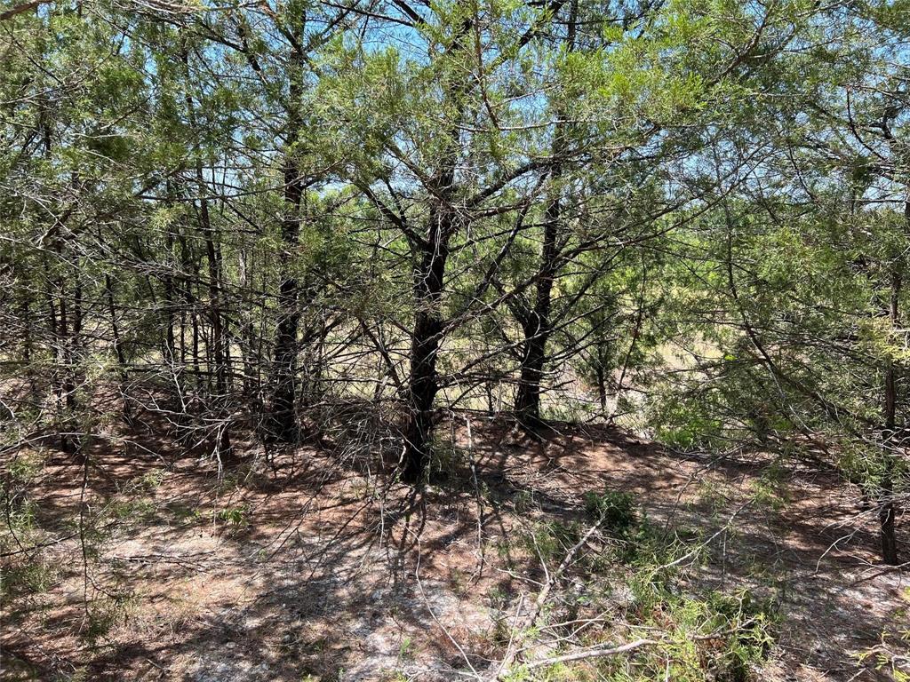 11AC Pilot Grove Road