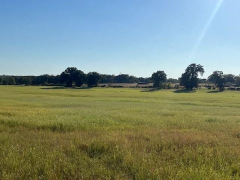 3733 Fm-52 Graford TX 76449
