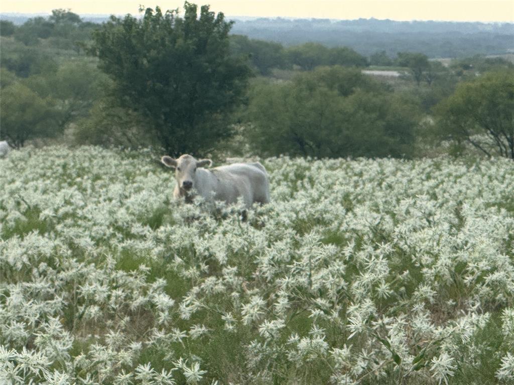 381 Private Road 4512