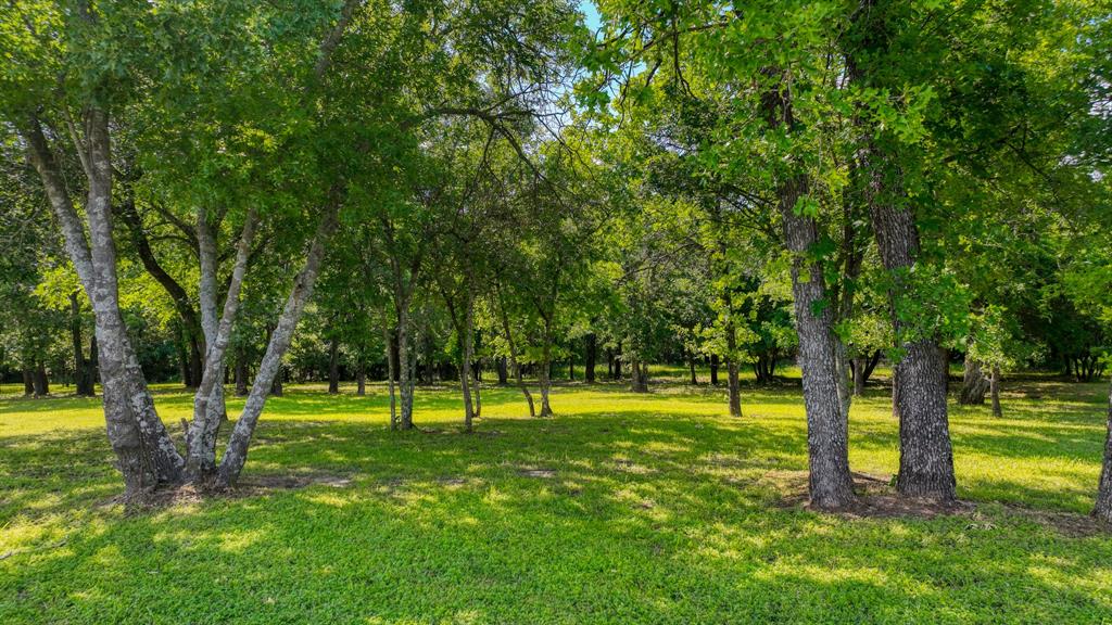315 Arborview Drive