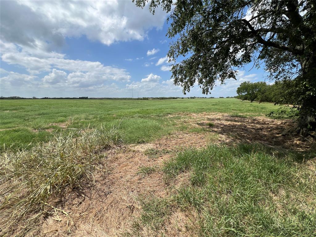 Sarah A Cross - Land