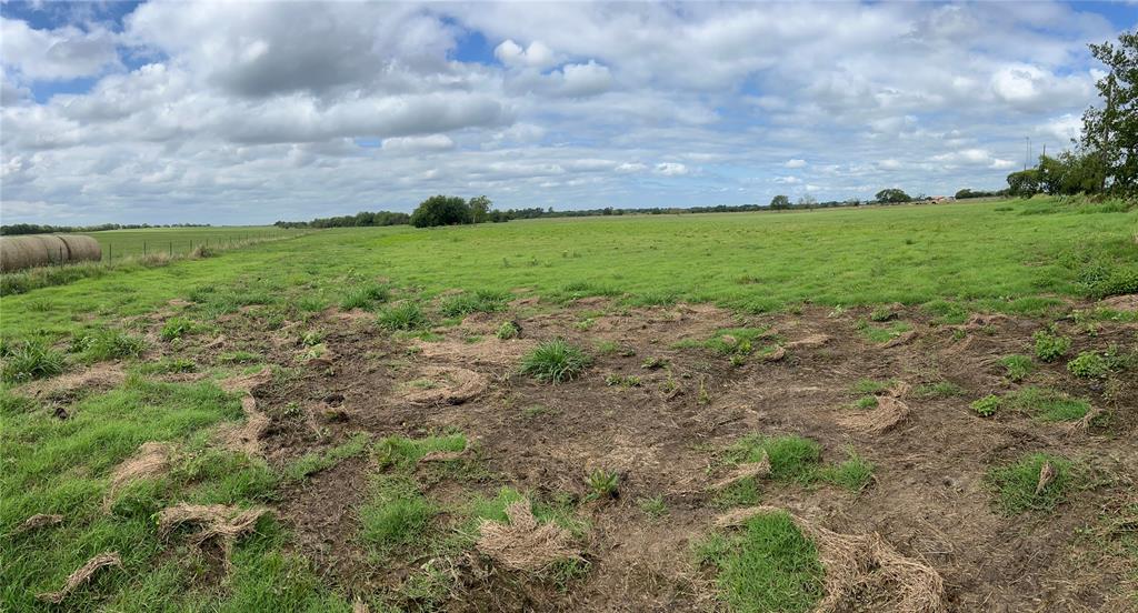 Sarah A Cross - Land