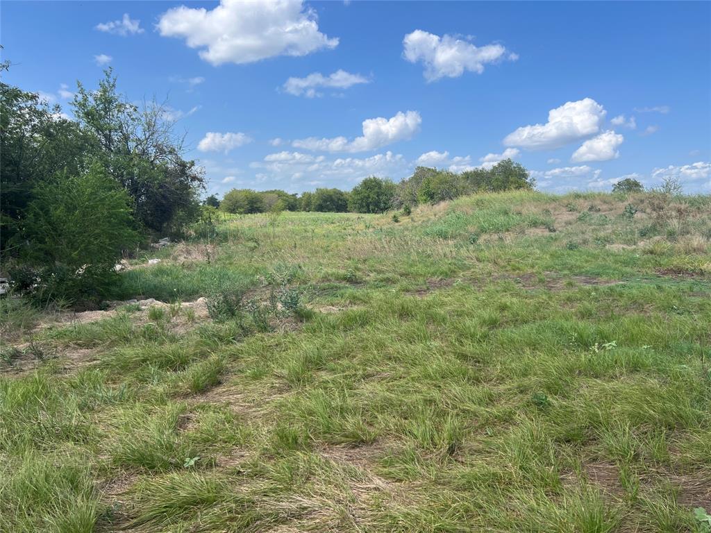 Sarah A Cross - Land