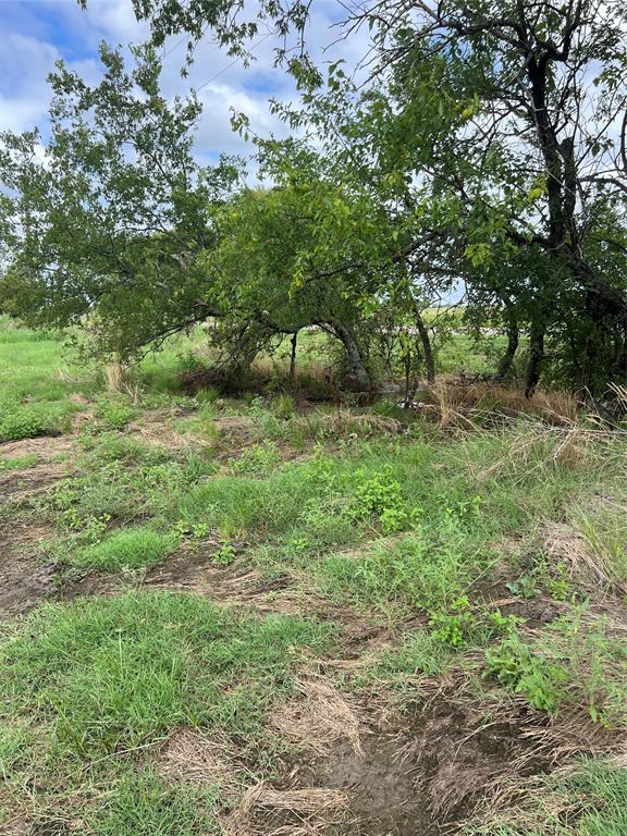 Sarah A Cross - Land