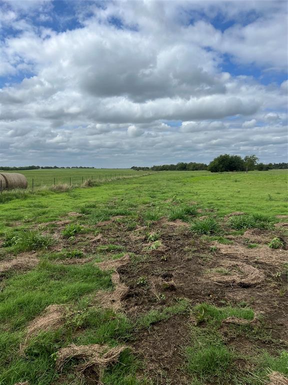 Sarah A Cross - Land