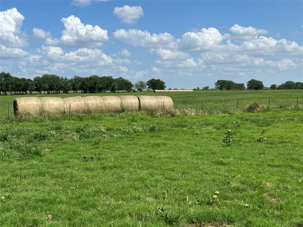 Sarah A Cross - Land