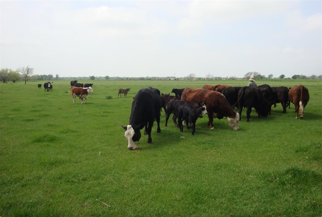 Sarah A Cross - Land