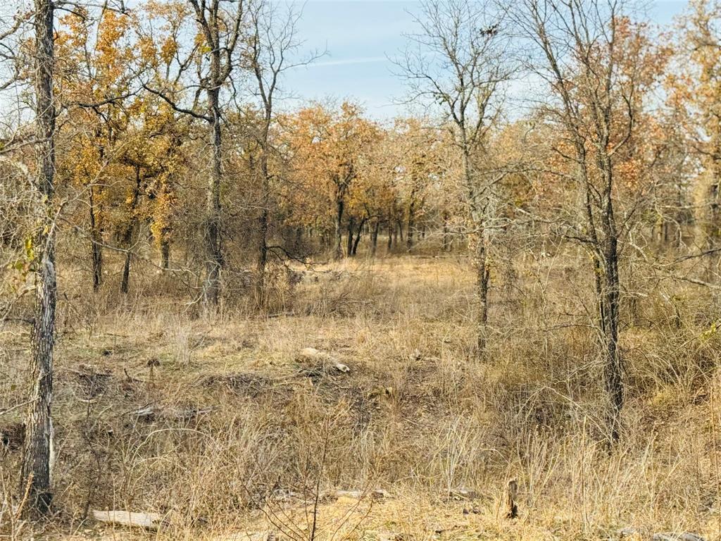 Duffau Creeks Estate - Residential