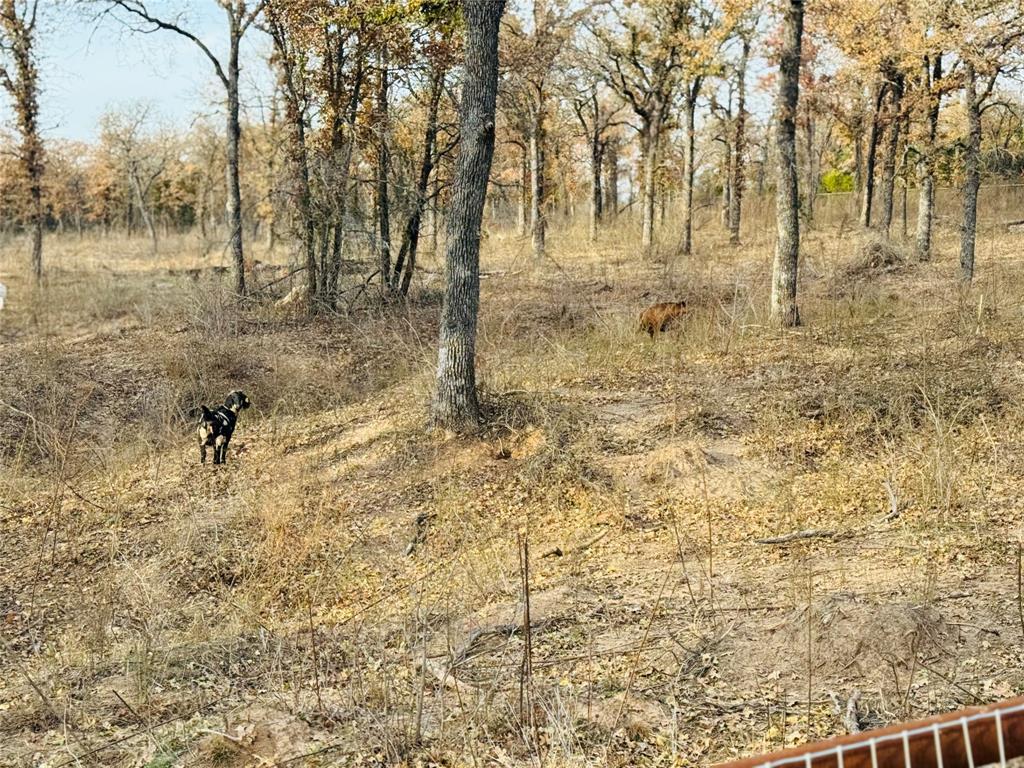 Duffau Creeks Estate - Residential