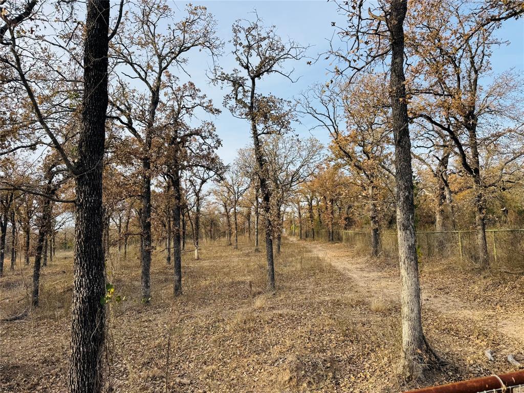 Duffau Creeks Estate - Residential