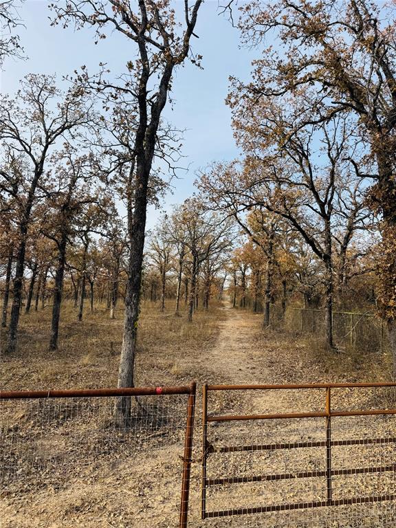 Duffau Creeks Estate - Residential