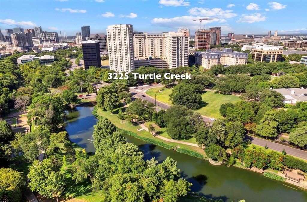 3225 Turtle Creek Boulevard 246