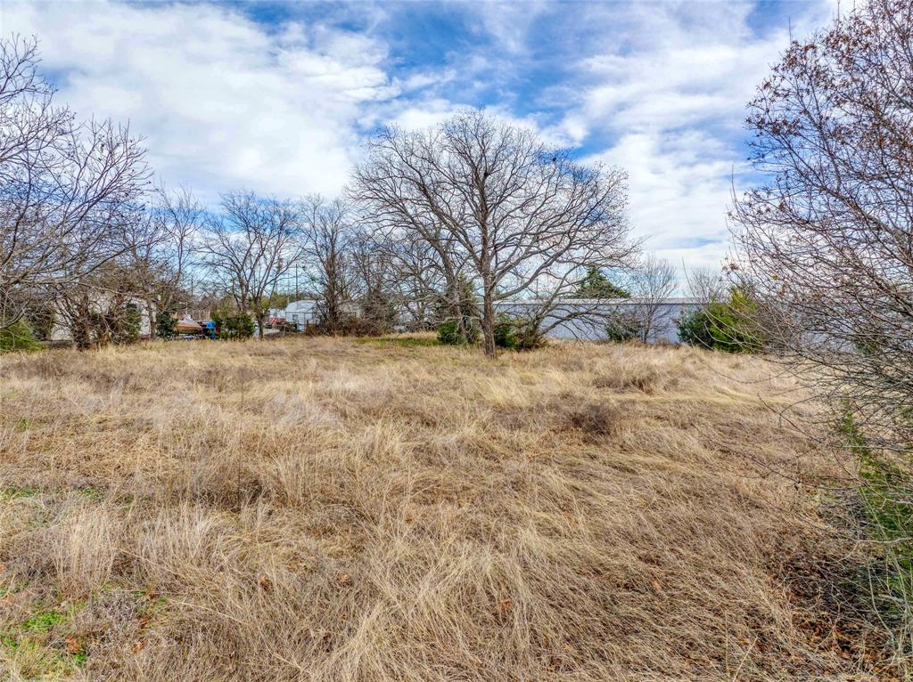 Thomas A Rhodes Surv A - 741 - Land