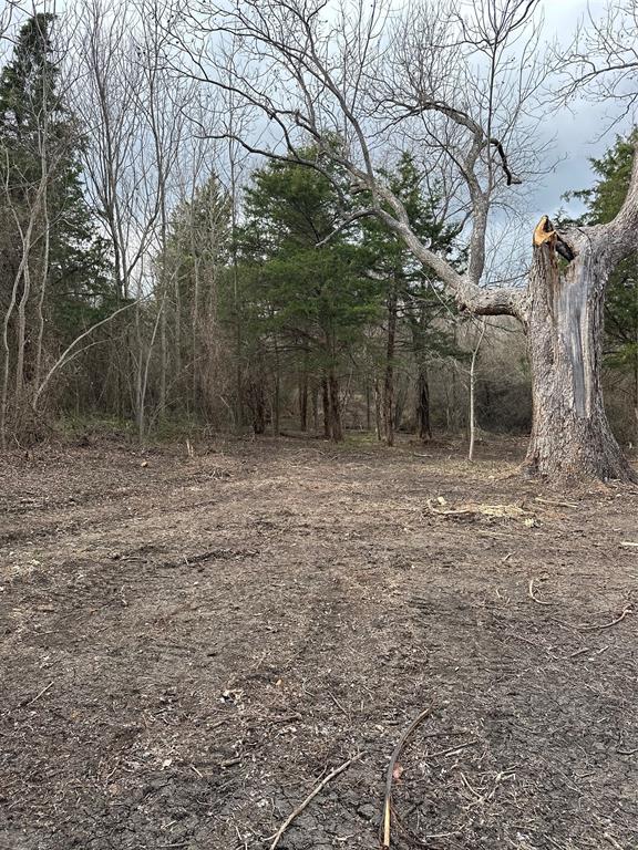 R M Williamson - Land