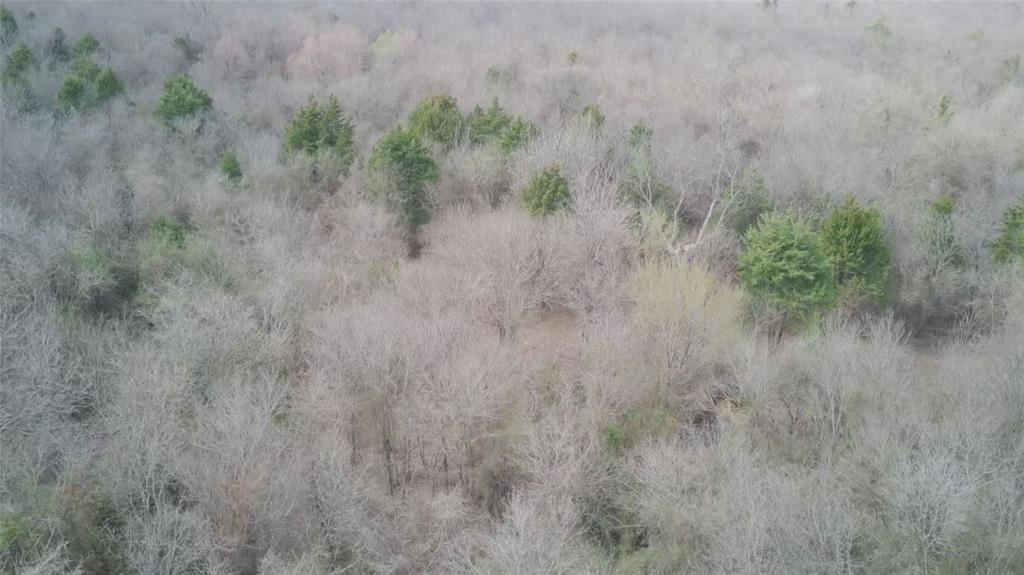 R M Williamson - Land